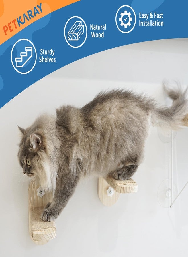 PETKARAY Cat Window Perch, Foldable Cat Hammock for Window, Stable Window Shelves for Indoor Cats, Set Includes 2 Pack of Window Stairs - Image 4